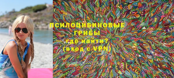 хмурый Алексеевка