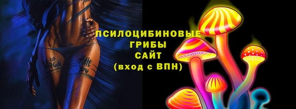 хмурый Алексеевка